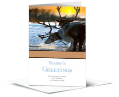 Christmas Season's Greetings Reindeer at Sunset Cards  5.50